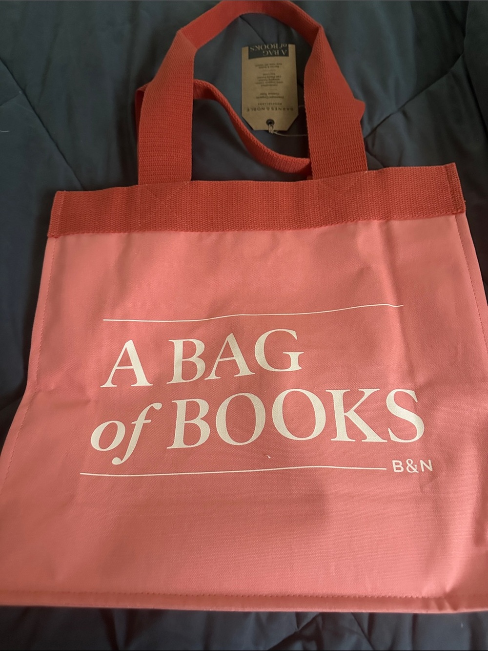 Barnes & Noble Pink Canvas Tote — A Bag of Books BNWT